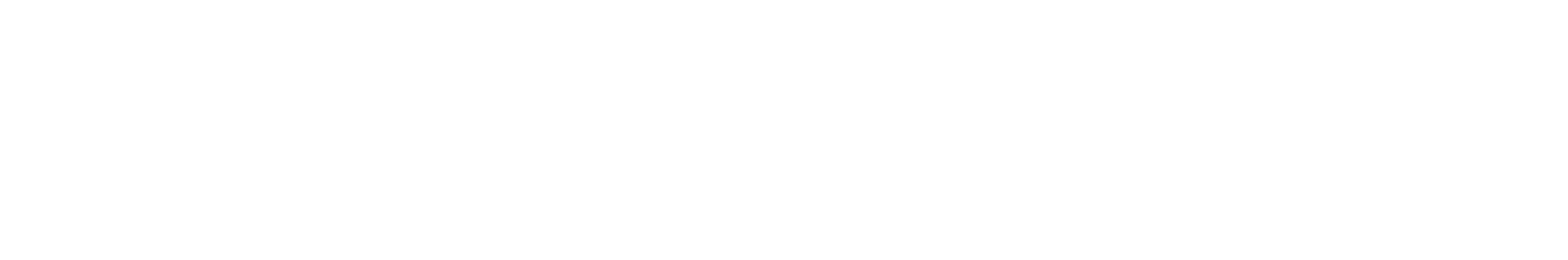 Neo Tribe